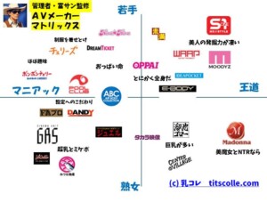 巨乳 AV レビュー 画像
